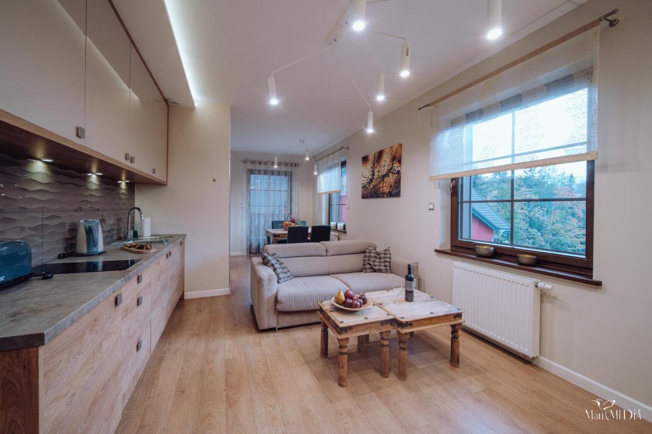 Dolina Wikingow Apartament Oye 13 Sklářská Poruba Exteriér fotografie